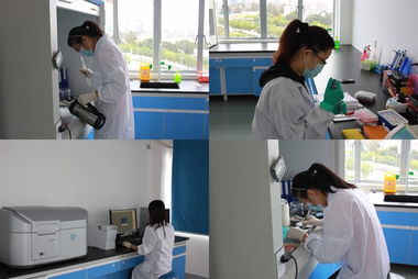 歐易訪談 專注生物技術服務，以技術開發驅動質量與體驗雙提升