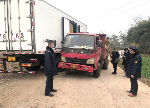 廣安岳池縣開展“冬安行動”，為春運(yùn)貨物道路運(yùn)輸保駕護(hù)航